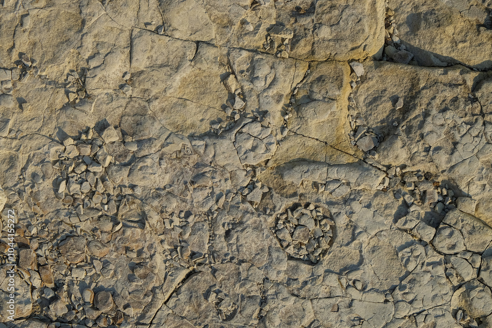 Poster abstract ornament on limestone surface. limestone wall on the edge of the lake.natural pattern and t