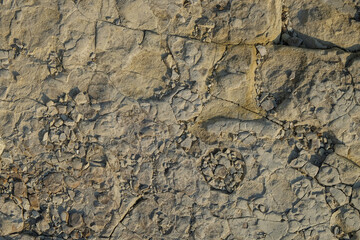 Abstract ornament on limestone surface. Limestone wall on the edge of the lake.Natural pattern and texture background. Copy space . For graphic design or banner background