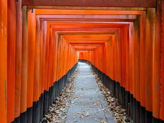 Selbstklebende Fototapeten Fushimi, Japan - 2023.12.17: Inside of the tunnel of Senbon Torii in Fushimi Inari-taisha, with rows of red wooden structures along the footpath without tourists in the morning © Claudia