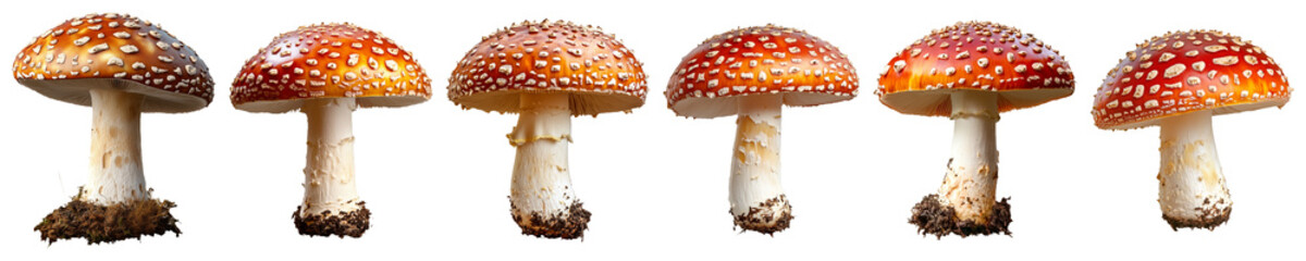 Obraz premium Red Mushroom with White Spots on a Clear Transparent Background for Creative Product Banners, Social Media Graphics, Marketing Collateral, and Decorative Concepts A Mushroom Isolated on a Trans