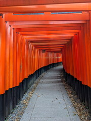 Fototapeta premium Fushimi, Japan - 2023.12.17: Inside of the tunnel of Senbon Torii in Fushimi Inari-taisha, with rows of red wooden structures along the footpath without tourists in the morning