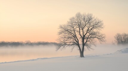 Obraz premium A winter tree by the river at dawn with mist in the background