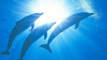 Fototapeta premium Graceful Pod of Dolphins Performing Acrobatics in Sunlit Deep Blue Ocean - Ultra-Detailed Underwater Scene