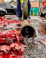 Autumn Fire Hose Roll