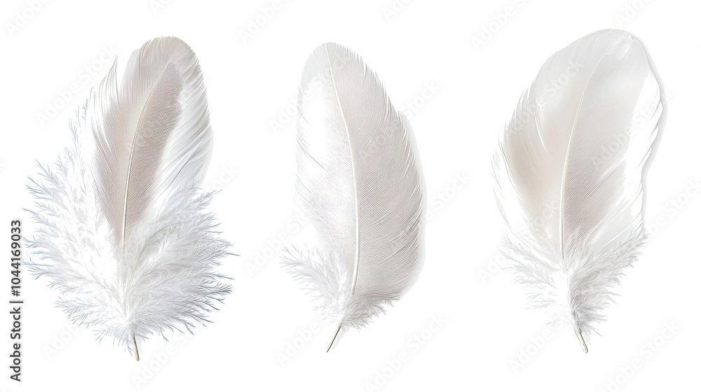 Poster collection of white feathers isolated on a transparent background generative ai