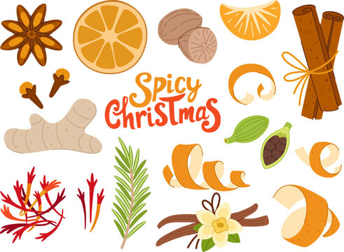 Christmas spices set. Ingredients for mulled wine and Christmas dishes. Spices and seasonings. Cinnamon, orange zest, mandarin slice, cardamom, nutmeg and other spices. White background.