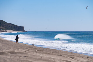 crashing waves 