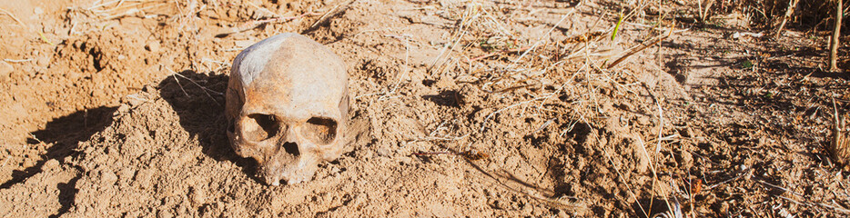 skull of an old man on the sand in the desert found during excavations of the old city in the ancient settlement after the war