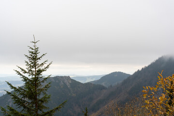 Lone pine tree standing on a misty mountainside with a hazy valley and distant hills under an...