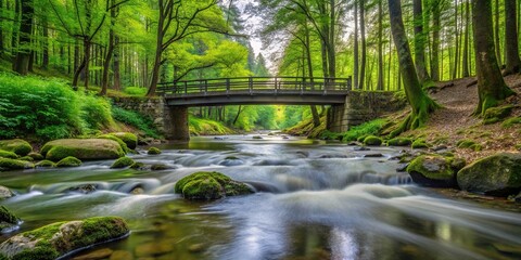 Scenic water stream in forest with bridge