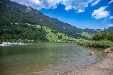 Alpnachstad Swiss Alps village on Luzern lake