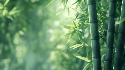 Obraz premium A serene capture of green bamboo stalks surrounded by lush leaves, creating a tranquil and refreshing atmosphere in nature.