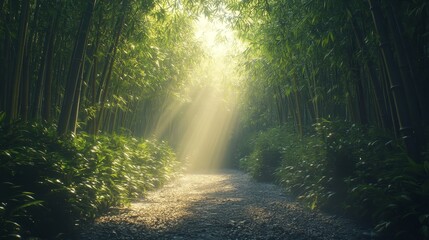Obraz premium A serene pathway through a lush bamboo forest, illuminated by soft sunlight filtering through vibrant green foliage.