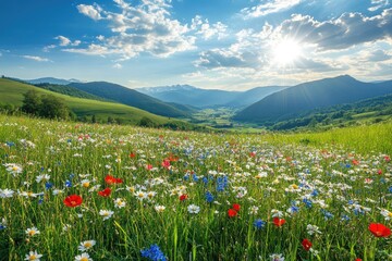 Fototapeta premium Wildflowers bloom in a valley. Perfect for projects about nature, beauty, or peace.