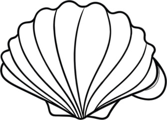 illustration of a seashell 