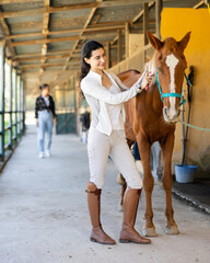 Armenian girl worker has put horse near hitching post, and is combing animals wool mane. Female...