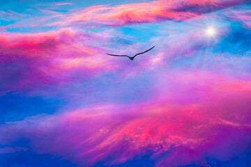 Bird Sunset Ethereal Divine Inspirational Hope Faith Freedom Flying Soaring Silhouette