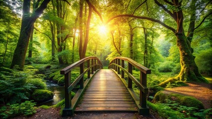 Fototapeta premium Scenic Woodland Footbridge in Lush Green Forest – Panoramic Nature Photography