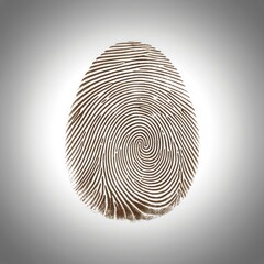Highly detailed image of a human fingerprint