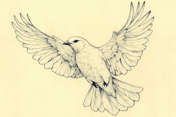 Obraz premium bird freedom illustration, a clean, simple drawing of a bird with outstretched wings in a wide-open sky symbolizing freedom and elegance