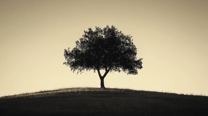 Obraz premium vector silhouette of a tree at sunset. autmn