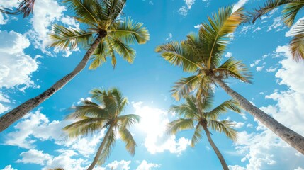 Tall palm trees stretch elegantly skyward, their fronds ruffling gently against a vibrant blue sky with scattered clouds, capturing a serene tropical vibe.
