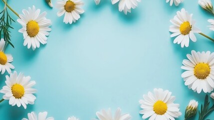 Fototapeta premium White Daisies Arranged Around a Blue Background