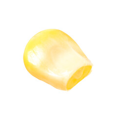 One fresh corn kernel isolated on white