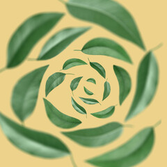 Green leaves swirling in air on dusty orange background