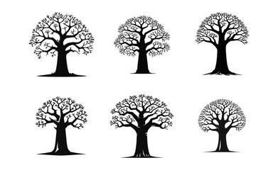 Baobab tree logo icon design illustration template