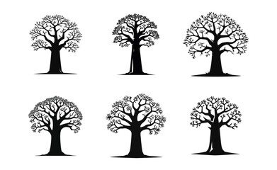 Obraz premium Baobab tree logo icon design illustration template