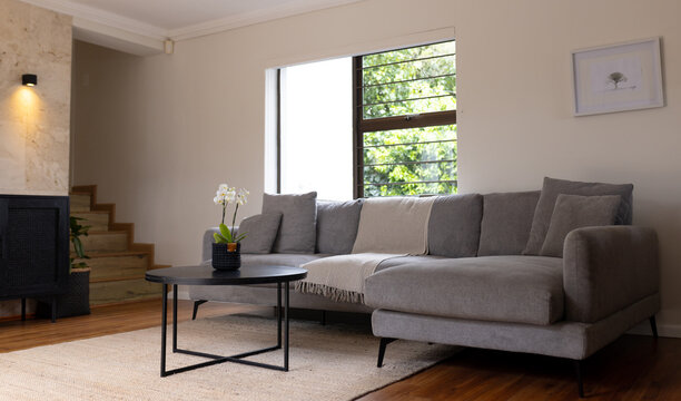 Modern living room with gray sofa and orchid on coffee table by window, at home