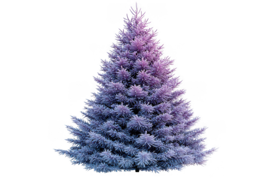 Purple Balsam Fir Christmas tree isolated on transparent background, png file, no background png file