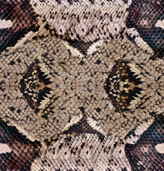 Seamless snakeskin pattern. The natural texture of the snake skin.
