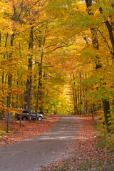 Naklejka premium An alley in the forest surrounded by maple trees with bright colorful yellow, red, and orange leaves in fall season and campsites with cars on the sides. Killbear Provincial Park, Ontario, Canada.