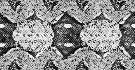 Seamless snakeskin pattern. The natural texture of the snake skin.