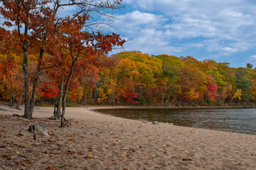 Colorful fall trees with yellow, red, and orange leaves along the shore of a lake, sunny day....