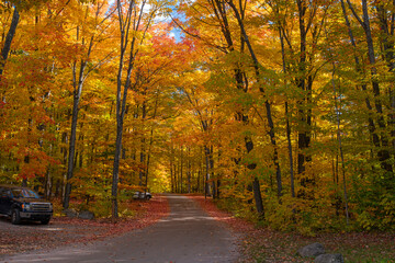 Fototapeta premium An alley in the forest surrounded by maple trees with bright colorful yellow, red, and orange leaves in fall season and campsites with cars on the sides. Killbear Provincial Park, Ontario, Canada.