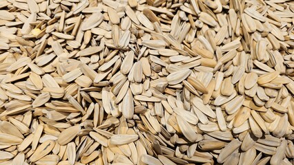sunflower seeds, melon seeds, Chinese edible seeds, snack, top view photo, 