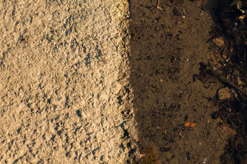  A textured shoreline displaying a stark contrast between dry, cracked earth and the still, murky water beside it. The image captures the transition between land and water.

