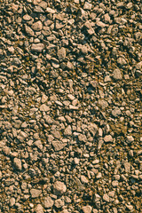 Close-up  features a dense assortment of small stones and gravel, arranged randomly on a natural surface. Sunlight casts a warm glow on the textured rocks, accentuating the rough, irregular shapes. 
