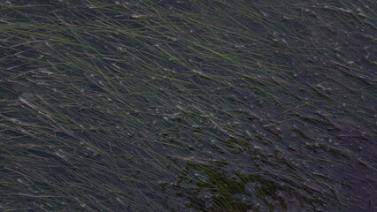 texture