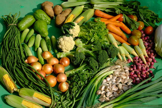Sayur Mayur Sayuran Segar is fresh vegetables from the tropics. there are carrots, mustard greens, onions, garlic, long beans, broccoli, sweet corn, cucumbers, squash, lettuce, potatoes, leeks, celery