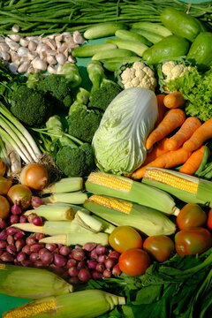 Sayur Mayur Sayuran Segar is fresh vegetables from the tropics. there are carrots, mustard greens, onions, garlic, long beans, broccoli, sweet corn, cucumbers, squash, lettuce, potatoes, leeks, celery