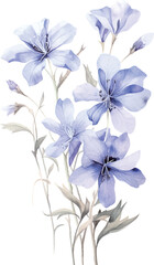 bouquet of blue flowers