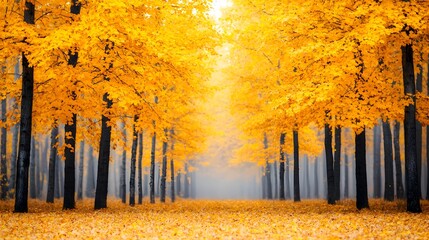 Fototapeta premium Vibrant Autumn Forest with Golden Leaves and Winding Pathway
