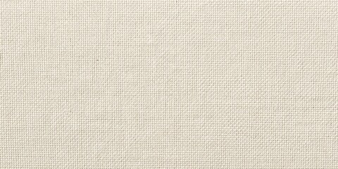 Fototapeta premium seamless white canvas texture background silhouette