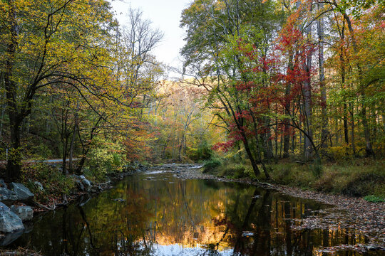 Ridley Creek State Park in Media, Pennsylvania is one of the best destinations to see fall foliage near Philadelphia, Pennsylvania