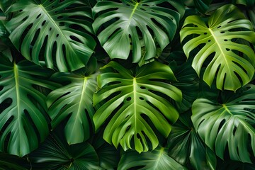 A close up of a bunch of green leaves