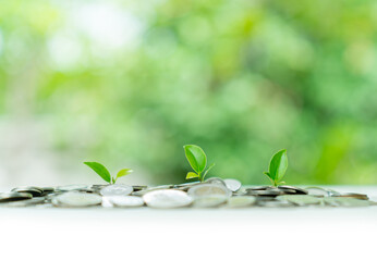 Green plant sprouts from a pile of coins.